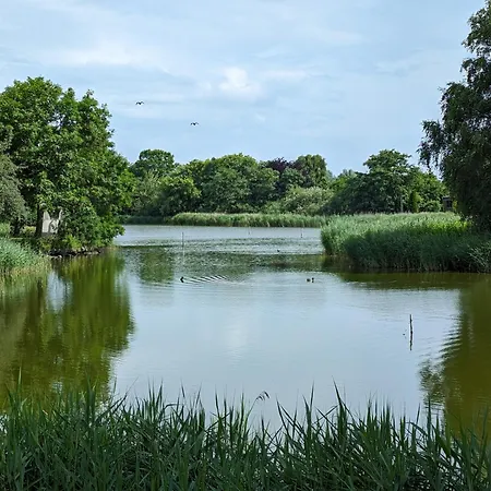 Oldeoog Og - * هوروميرسيال